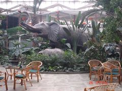 DSC01806-绿色时代大酒店