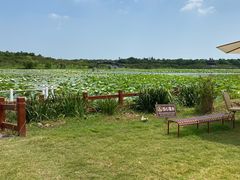 -上海海湾国家森林公园