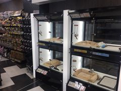 -ペットの専門店コジマ六本木店