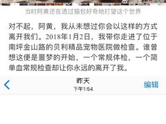 -贝利宠物医院·骨科·眼科·肿瘤转诊中心(南坪诊疗中心)