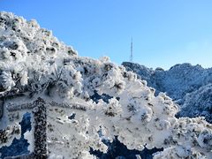 -巧手推拿中心(盲人推拿)