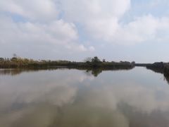 -盐城丹顶鹤湿地生态旅游区