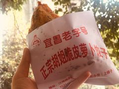-半月镰胡姐脆皮萝卜饺子