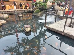 -大笑饭堂(甲子桥店)