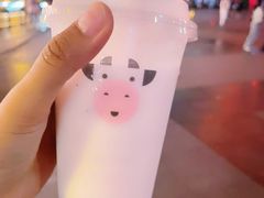 -一只酸奶牛(八一路店)