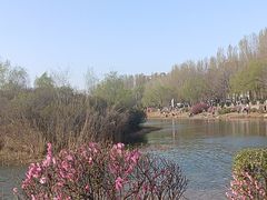 -丁香湖公园