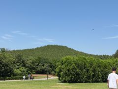 -秦始皇帝陵博物院-丽山园