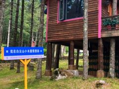 -洛阳白云山景区