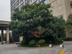 -成都保利公园皇冠假日酒店(熊猫基地店)
