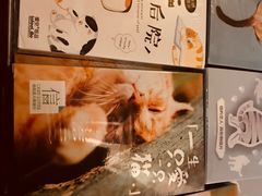 -猫咪博物馆(顶澳仔猫街店)