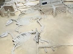 -洛阳周王城天子驾六博物馆