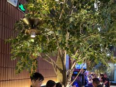-同仁四季椰子鸡(海岸城天利店)