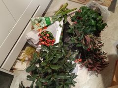 -郑州植物园