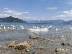 -丽江泸沽湖景区