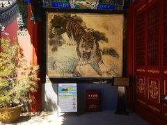 -药王庙(安国市)
