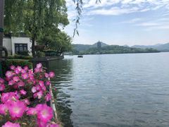 -杭州西湖柳莺里酒店·闻莺厅