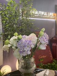 -花隐·美芙炫海菲秀皮肤管理中心