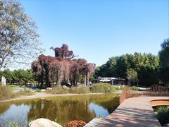 -石家庄市植物园