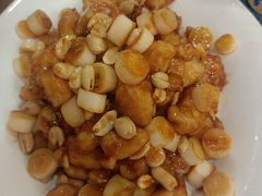 -邵年鸽(杨庄店)