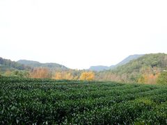 -西湖风景区十里琅珰-五云山