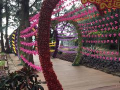 -北海金海湾红树林生态旅游区