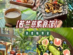 -若蘭慈·无国界素食料理(欢乐海岸店)