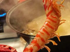 -鲜入围煮花胶鸡海鲜火锅