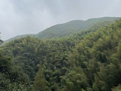 -WILDS 野有食(碧坞店)