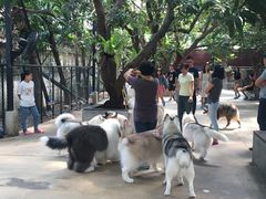 -TrueLove @ Neverland (Husky Cafe)