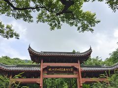 -杭州半山国家森林公园