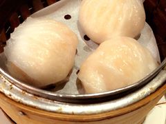 -糖朝(尖沙咀店)