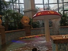 -齐河孔雀王温泉酒店·金孔雀自助百汇