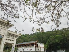 -天坛大佛