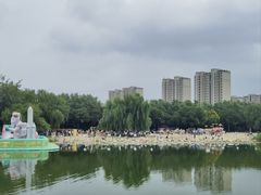 -大兴滨河森林公园