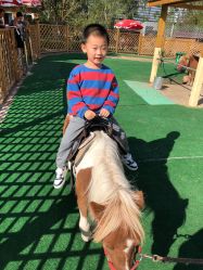 -萌宠亲子动物乐园(槐房万达店)