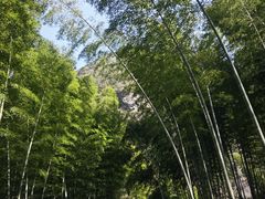 -水墨汀溪风景区