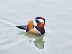 -朝阳公园