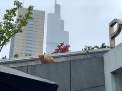 -UNI UNI(环亚凯瑟琳店)