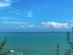 -广东惠东海龟国家级自然保护区