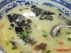 -全乐鱼馆·淳牌有机鱼直营店
