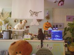 -平行世界·猫咖(首经贸店)