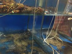 水产区-海帮主·蒸汽海鲜青岛菜(栈桥火车站店)