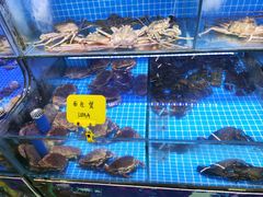 -前王院•巧克力海鲜市集餐厅(万平口店)