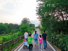 -武汉紫薇都市田园