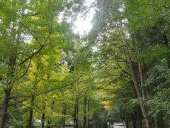 -金堂县云顶石城风景区