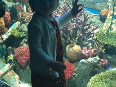 -暹罗海洋世界