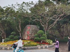 -野狸岛