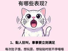 -瑞鹏宠物医院·骨外科·心肾科·肿瘤科(九亭店)
