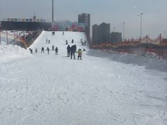 -沈阳奥体冰雪嘉年华