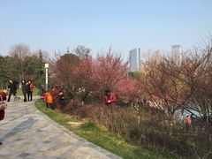 -天鹅湖体育公园
